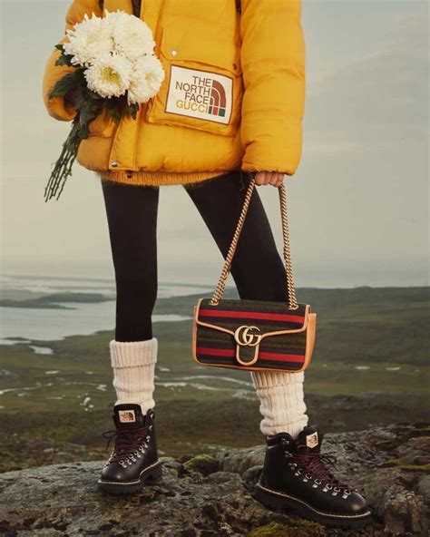 the north face x gucci 2022|gucci north face shop.